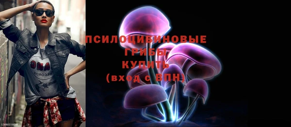 apvp Осташков