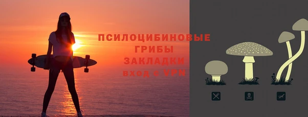 apvp Осташков