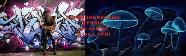дурь Осинники