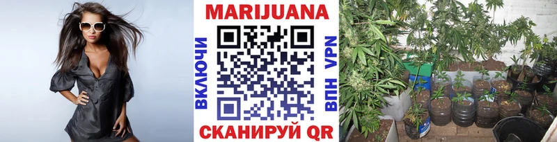 Конопля OG Kush  Купить  Липки 